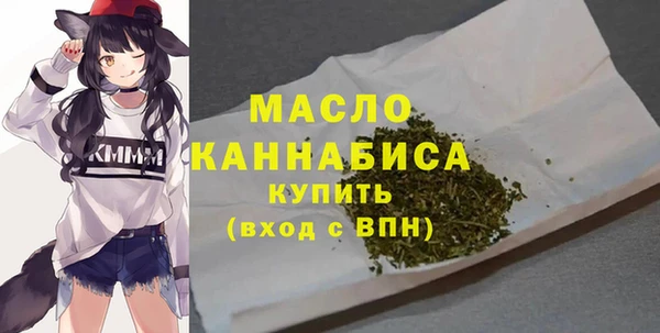 индика Абинск