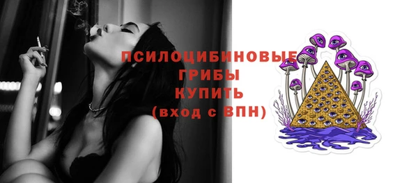 индика Абинск