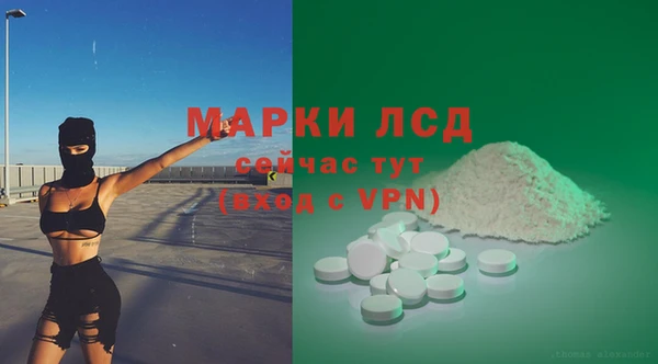 индика Абинск