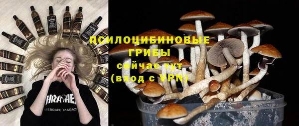 индика Абинск