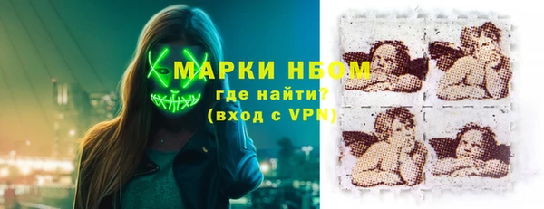 индика Абинск